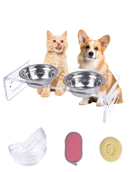Acrylic Elevated Dog Bowls Raised Dog Cat Bowl Pet Feeder Set with 2 Stainless Steel Bowls2 Glass Bowls1 Cleaning Cloth1 Cleaning Brushfor Puppies Kittens and Small Dogs